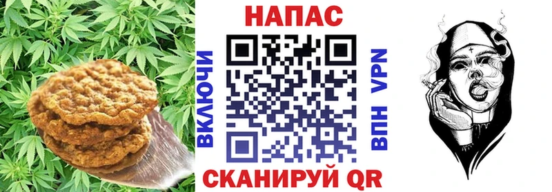 Cannafood конопля  мега рабочий сайт  Ковылкино  где можно купить наркотик 