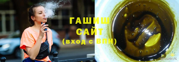 стаф Аркадак