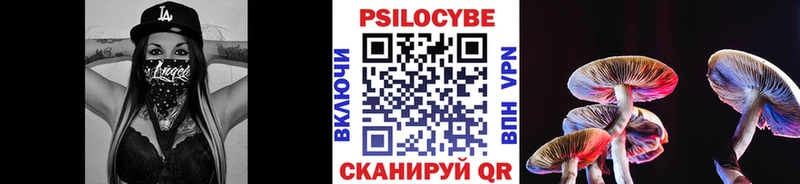 Галлюциногенные грибы мицелий  Ковылкино 
